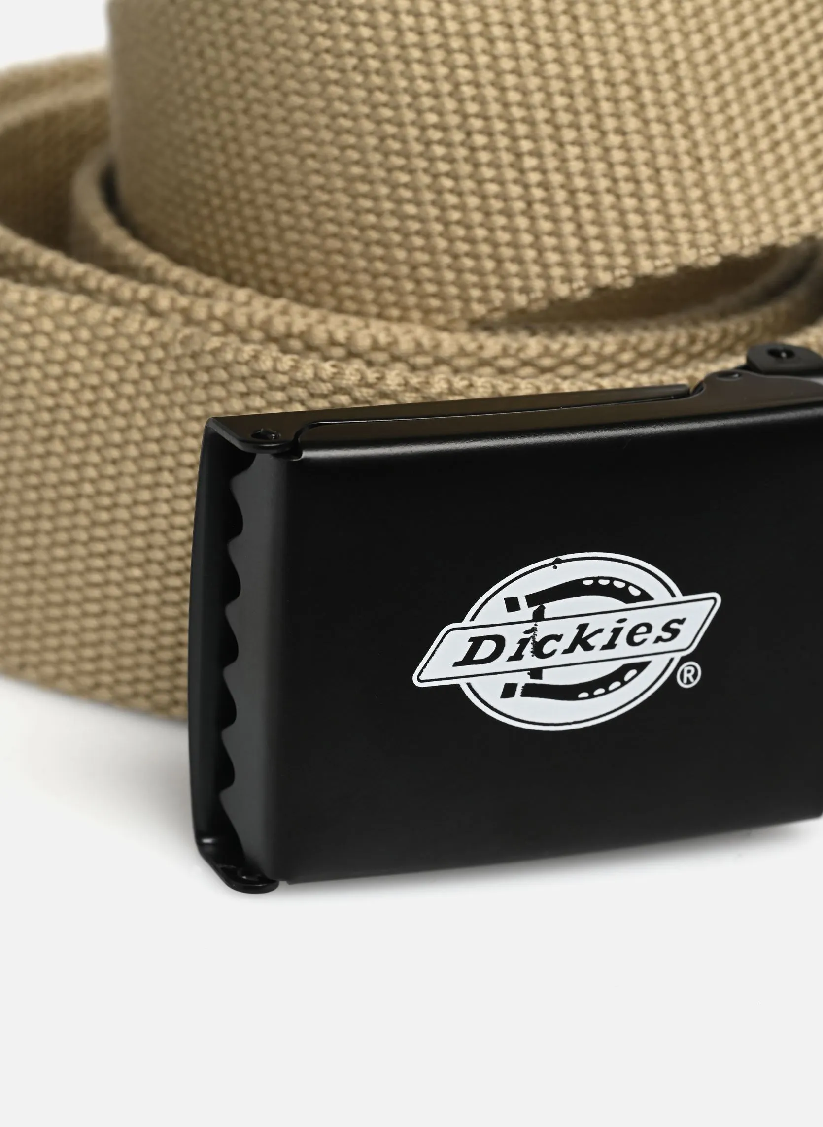 DickiesOrcutt Webbing Belt - Verde